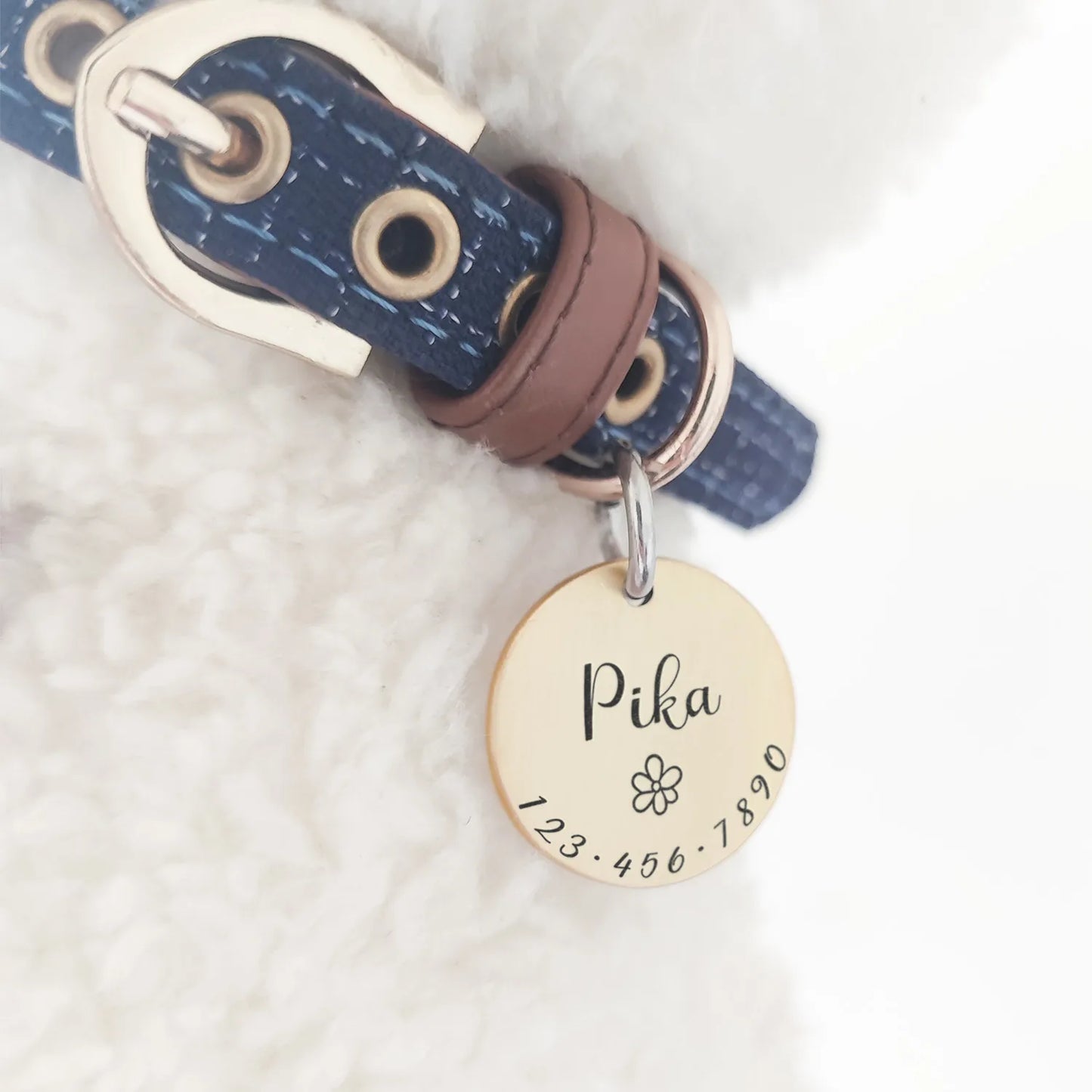 Personalized Pet ID Tag Collar