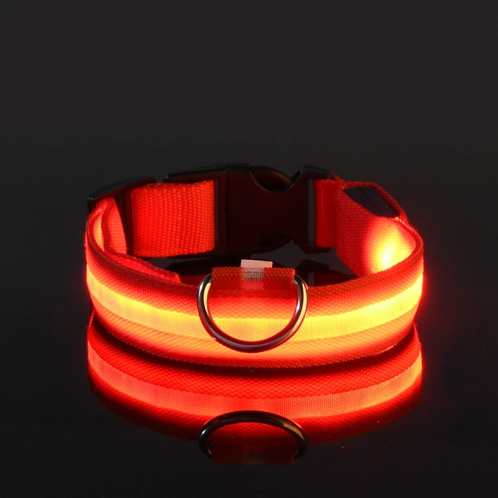 LED Night Safety Dog Leash