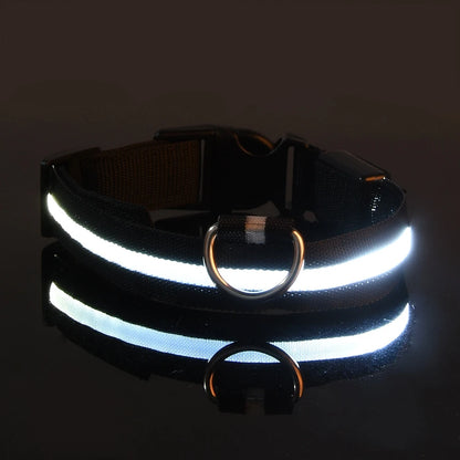 LED Night Safety Dog Leash