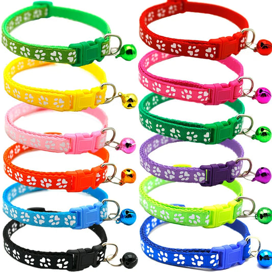 Colorful Pet Collar