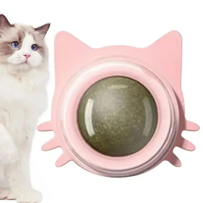 Rotatable Wall-Mounted Catnip Ball Toy