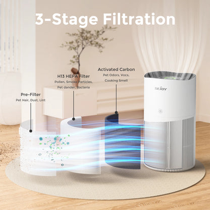 HEPA Air Purifier for Pets – Cleaner Air for You and Your Furry Friend