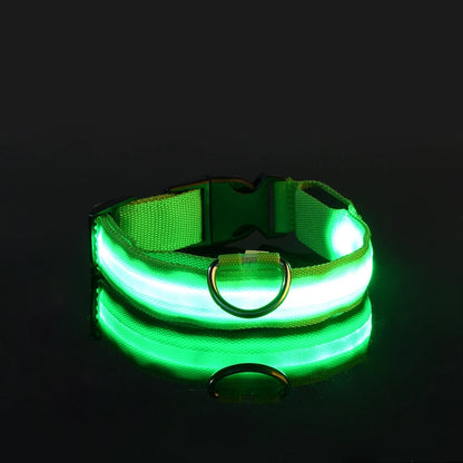 LED Night Safety Dog Leash