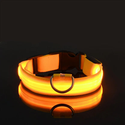 LED Night Safety Dog Leash