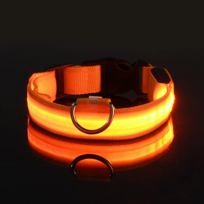 LED Night Safety Dog Leash