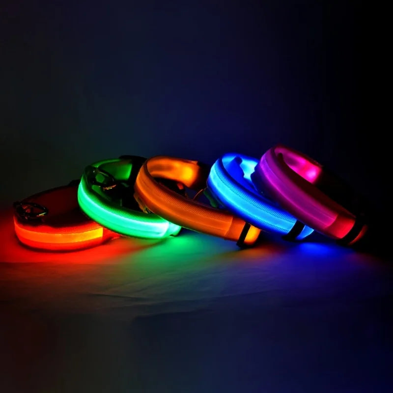 LED Night Safety Dog Leash