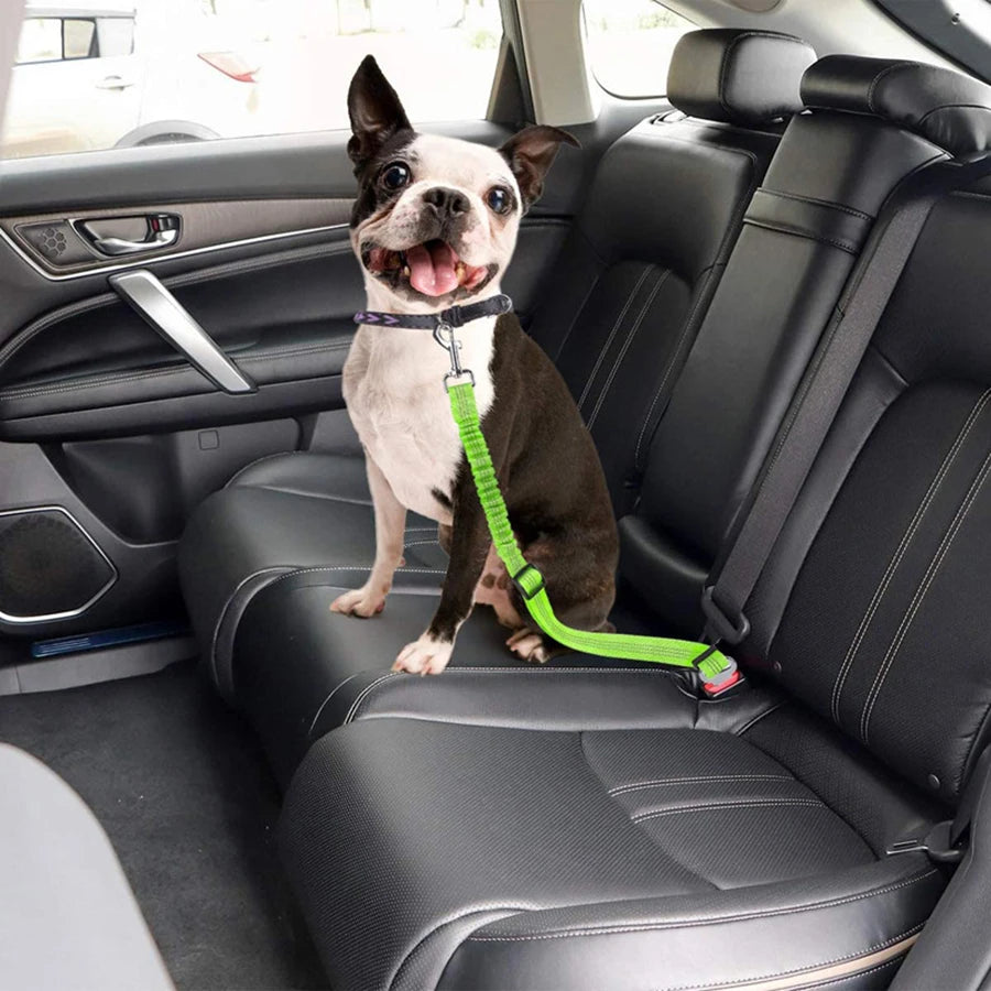 Reflective Elastic Dog Leash