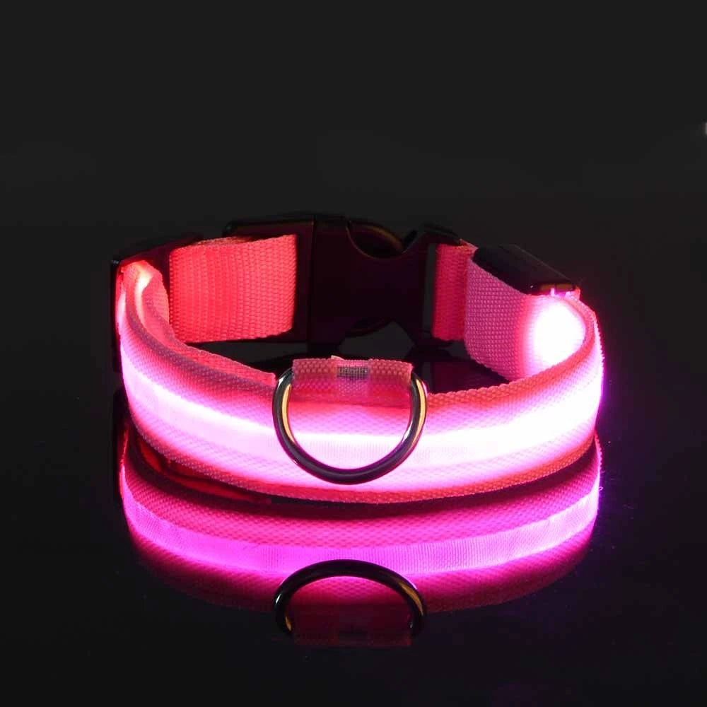 LED Night Safety Dog Leash