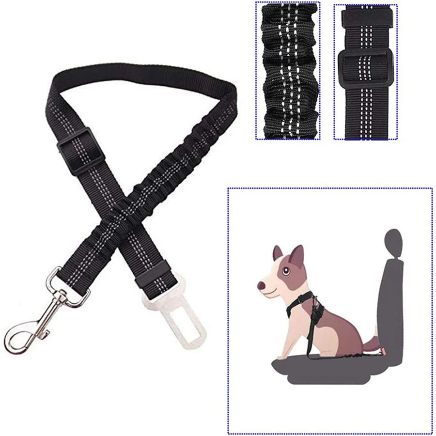 Reflective Elastic Dog Leash