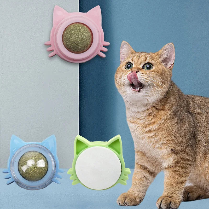 Rotatable Wall-Mounted Catnip Ball Toy